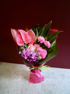 sNKN AX[ J J[l[V hZi 胂Xe