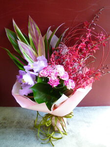 生花 オンシジュームの人気商品 通販 価格比較 価格 Com 生花 オンシジュームの人気商品 通販 価格比較 価格 Com