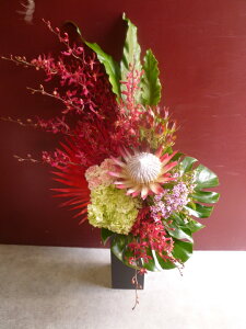 yAWgzeCXĝ]ɍ킹ĂCł肵܂B c̊ɓA傫IȃfUCłB I AWg jJX vHj J 䈥A 