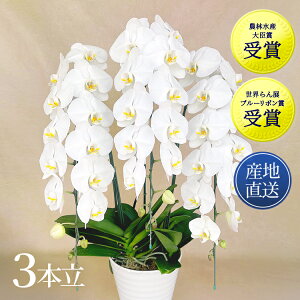 Ӓ 3{ t@m zCg sN j S Mtg v[g 蕨 Yn JXj ސE җ J N i  I    oY a LO m Xcm