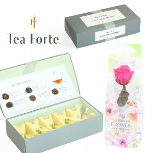Ԃƍg̃MtgZbg eB[tHe TEA FORTE ubNeB[ _u 20 g t[ Mtg eB[obO o KN vU[uht[ I[KjbN n[ueB[ 