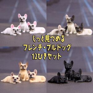 ŒZoׁtBMA u I[ig ǂł `ƌ߂ t`EuhbO q  hbO A\[g 12CZbg (tH[/uh (ubN)/pCh/N[)/~j