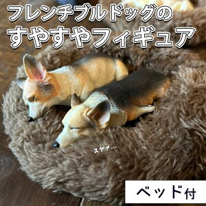 yP5{!!zŒZoׁtBMA u I[ig 1/6 XP[ }Olbg R[M[ 2C   ӂӂ xbht/hbO A {  ₷  ₷ Qp 