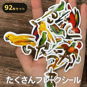 yP5{!!zŒZoׁV[ t[N 92 A\[gZbg  JiA CR IE  CXg IIo^ Lo^ ZLZCCR/^[ ق J XPW[ 蒠 