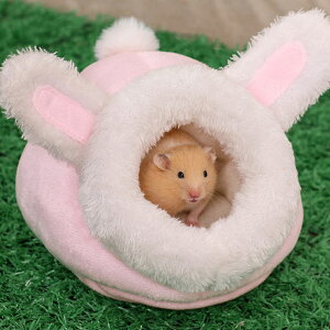 ŒZoׁnX^[  nEX xbh NbV  ӂӂ H~ h g ₦΍  B  ybg S[f LN}  CR X K ˂