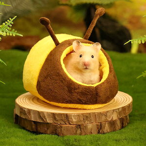 ŒZoׁnX^[  nEX xbh   NbV B  ݂΂ p_ Aj} ybg  CR X tNK ӂӂ  H~ h g ₦