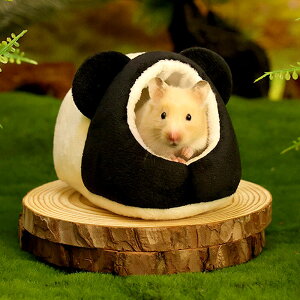 ŒZoׁnX^[  nEX xbh   NbV B  ݂΂ p_ Aj} ybg  CR X tNK ӂӂ  H~ h g ₦