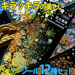 yP10{!!zŒZoׁV[ XebJ[ 炫 zO 12Zbg  t[o `[bv AWTC x_[ [Y  ԑ J XPW[ 蒠 Ao ybg 