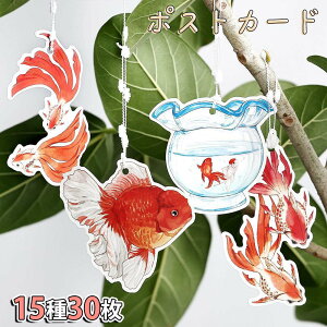 yP5{!!zŒZoׁ|XgJ[h bZ[WJ[h 30 eʃZbg (152)    C ₩ eE ANAE čՂ / Mtg O[