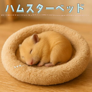 ŒZoׁnX^[  CR X tNK ybg  nEX xbh   Q B  NbV x[W ӂӂ  a 14cm M^  ~j g