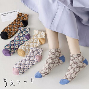 yP10{!!zŒZoׁC \bNX 5Zbg ԕ t[ iq Ԃ V[g | fB[X g t   ʋC  Jt   uE x[W x_[ s