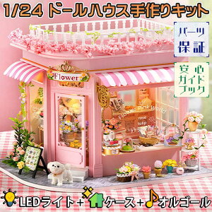 yP10{!!zŒZoׁh[nEX ~j`A LbgZbg ԉ 1/24 XP[ ypz sN t[ Vbv AeB[N    [Y | LEDCg+I