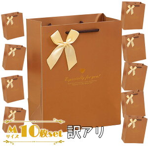 yP10{!!zŒZoׁbsO MtgobO 񂰑  22.7×17.7×7.9cm 10 A PA e Bi p ( VvuE×S[h{) F  Vv