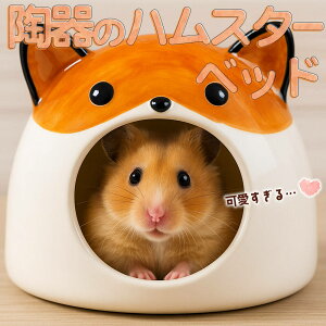 ŒZoׁS[f nX^[ LN}  CR X ybg   Ђ  nEX xbh   Q B   Č hbO ^ ` Hׂ  ΍ 