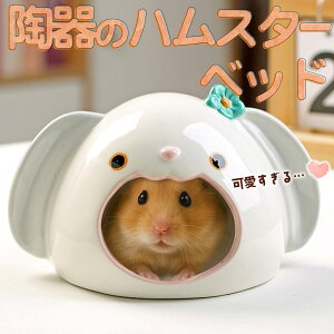 ŒZoׁS[f nX^[ LN}  CR X ybg   Ђ  nEX xbh   Q B   ^ ` Hׂ  ΍  p 