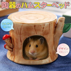 yP10{!!zŒZoׁS[f nX^[ LN}  CR X ybg   Ђ  nEX xbh   Q B  ؂芔 ^ `  ΍  p 