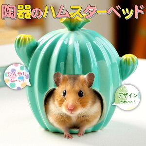 ŒZoׁS[f nX^[ LN}  CR X ybg   Ђ  nEX xbh   Q B  T{e ^ `  ΍  p   