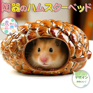 ŒZoׁS[f nX^[ LN}  CR X ybg   Ђ  nEX xbh   Q B  ڂ ؂̎ ^ `  ΍  p 