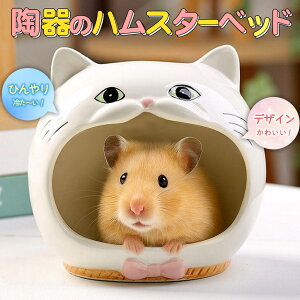 ŒZoׁS[f nX^[ LN}  CR X ybg   Ђ  nEX xbh   Q B   ^ ` Hׂ  ΍  p  