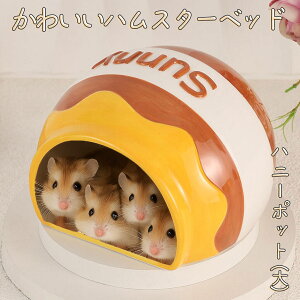 ŒZoׁS[fnX^[ LN}  CR X ybg  nEX xbh   Q B  nj[|bg pbN LfB ^ Lb` ݂͂  