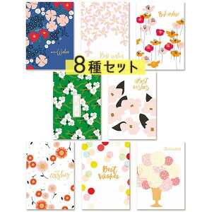ŒZoׁbZ[W J[h + 8Zbg | j j best wishes  t[ ԕ 낵 ߂ł Mtg S   炫  e  sN zCg u[