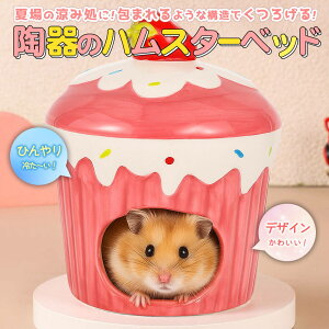 �yP10�{!!�z�ŒZ�����o�ׁ��S�[���f�� �n���X�^�[ �L���N�} �� �C���R ���X �y�b�g ������ ���� �Ђ��� �� �n�E�X �x�b�h �� ���� �Q�� �B��� ������ �P�[�L �^ �` �s���N �J�b�v ������ �f