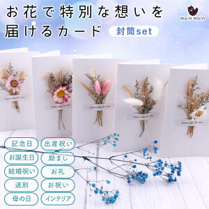 yP10{!!zŒZoׁbZ[W J[h 5Zbg t O[fBOJ[h hCt[ Mtg  JX~\E zCg O[ ҏ  a LO w Ǝ 