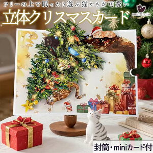 ŒZoׁNX}X J[h (~j bZ[WJ[h+ t) L c[ яo 3D  |bvAbv A CXg  @   Mtg v[g 킢  