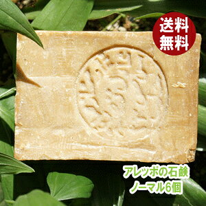 Ab|̐Ό m[}200g×6 VAY;@Ki@}Ch^Cv@ЃAb|̐Ό@I[uIC\[v@[@Ab|\[v@Ab|?@Ab| Ό