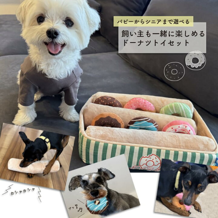 楽天市場】犬用おもちゃ ドーナツ 6点セット ボックス ノーズワーク 