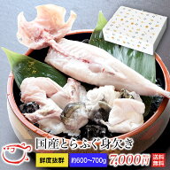 国産とらふぐみがき ふぐ 身欠き冷蔵 ふぐ フグ ふぐ刺し ふぐちり ふぐ料理セット お歳暮 ギフト お取り…