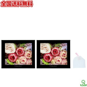 AySzy2Zbgz Ve[Y oXy^ 60g OX[Y OB-DRP-1-1  mR[|[VyAălbgtzyAqɁz