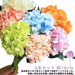 z ItBX CeA A[gt[ 16cm {[ X rbO  AWTC 뉀 z[ A  ͂Ȃ  rO    t C~e[V̉ 