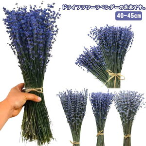  ԑ x_[ EGfBO ޗ u[P v[g i` a j  Mtg {[  ԑ x_[ A[gt[ j ސEj ꂳ hV̓ n