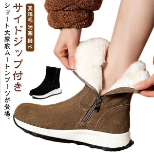 V[g N 5cmq[ u[c {A fB[X V[gu[c H~   u[c h t@[u[c h TChWbv t@[ tFCN[g t@[ hu[c [g