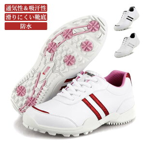 StV[Y StC fB[X XpCNX X|[cV[Y  _C \tgXpCN St y _炩 ^ ~ ɂ  ʋC h