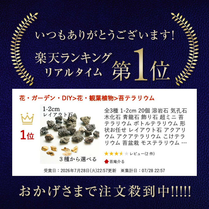 楽天市場】全3種 1-2cm 20個 溶岩石 気孔石 木化石 青龍石 飾り石 超