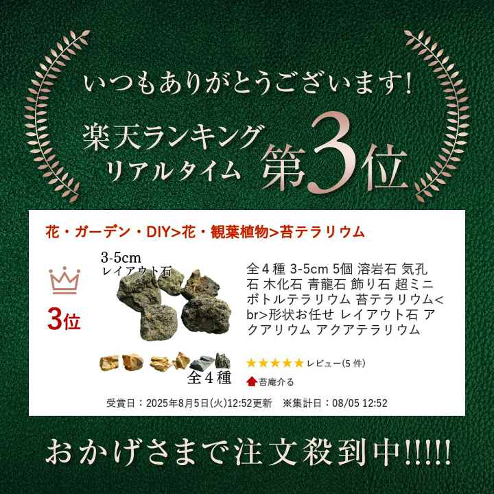 楽天市場】全4種 3-5cm 5個 溶岩石 気孔石 木化石 青龍石 飾り石 超