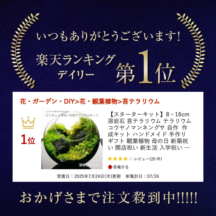 楽天市場】【スターターキット】 苔テラリウム 8−16cm 溶岩石
