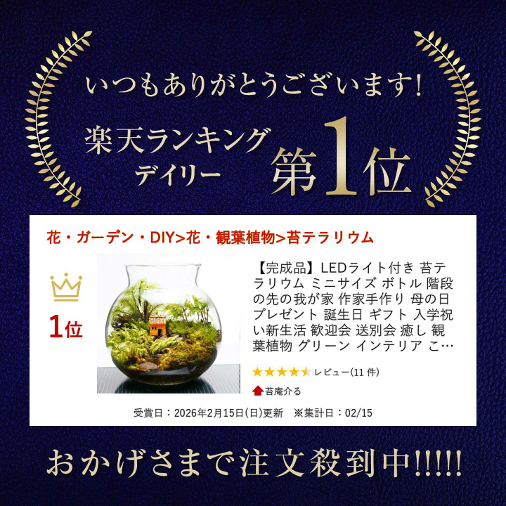 楽天市場】【完成品】LEDライト付 ミニサイズ ボトルテラリウム 苔