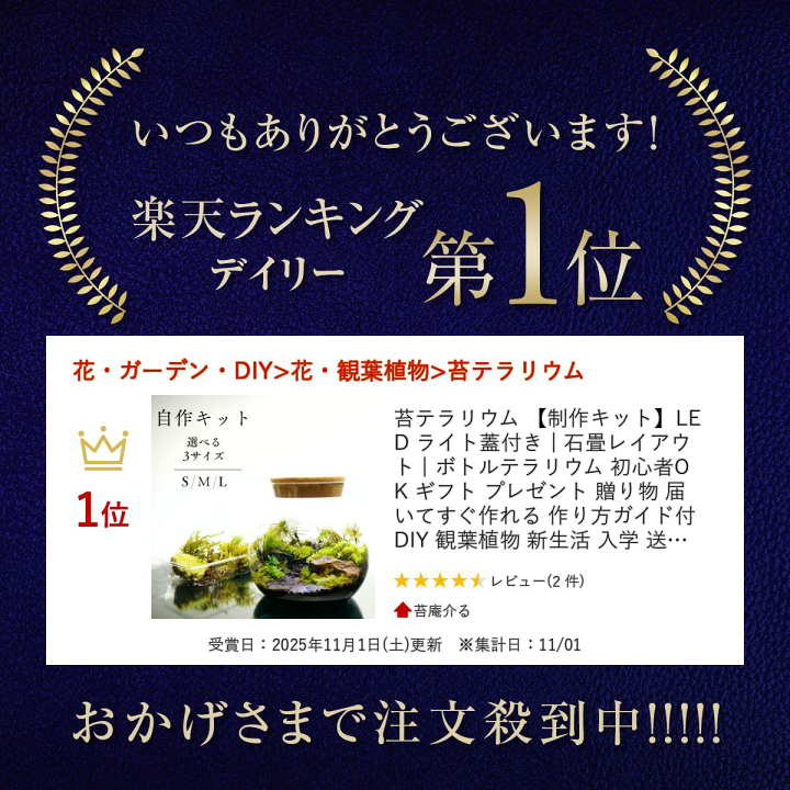 楽天市場】苔テラリウム 【制作キット】LED ライト蓋付き | 石畳