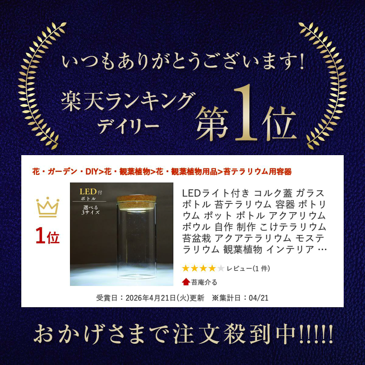 楽天市場】LEDライト付き コルク蓋 ガラスボトル 苔テラリウム 容器