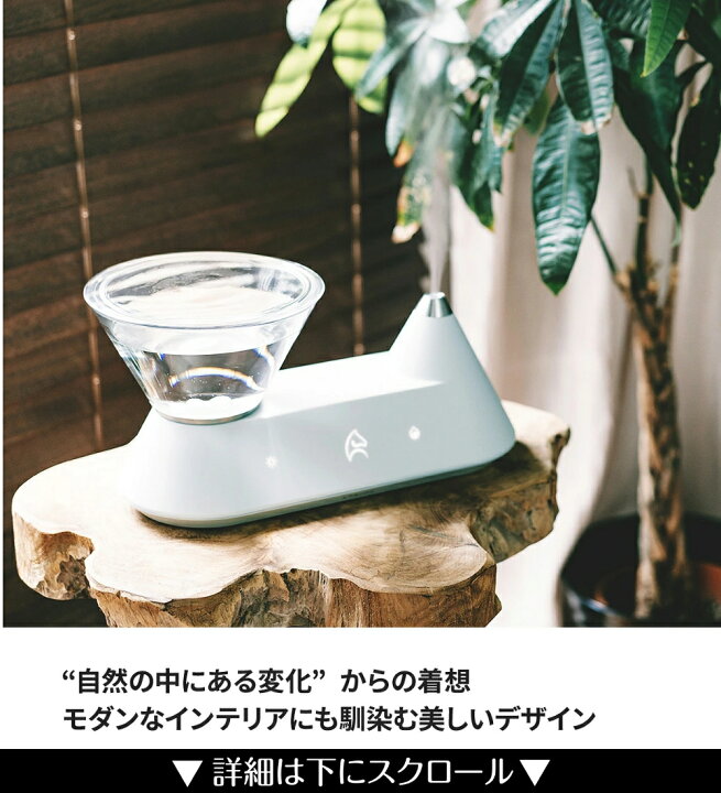 楽天市場】エペイオス EPEIOS Heal 加湿器 超音波式 加熱式 卓上 除菌 