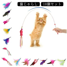 鈴 ねこじゃらし 猫のおもちゃ 猫じゃらし ペット用品 猫 ネコ 羽根 猫用おもちゃ おもちゃ 釣り竿 猫用品 頑丈 ストレス解消 運動不足解消 コンパクト 鳥の羽 鳥のハネ 猫のおもちゃ 10個セット