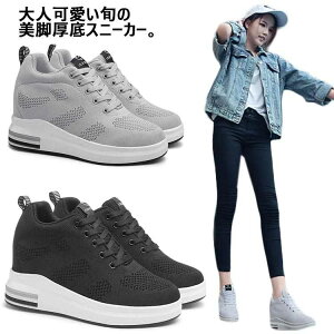 Xj[J[ 4cmCq[ fB[X ʋ ꍂ8.5cm q[Xj[J[ 4.5cmAEg\[ RC r ʊw Cq[Xj[J[