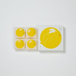 y4z А ʎqTG łЂ 45g×4 ϔ ykCEEzsz