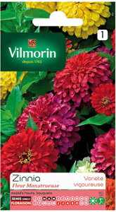 ytXԂ̎zVilmorinЁ@WjA Fleur Monstrueuse[V-393F]