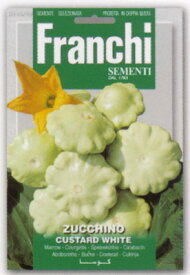 【イタリアの野菜の種】FRANCHI社　UFO型ズッキーニ・カスタードホワイト【固定種】146/49