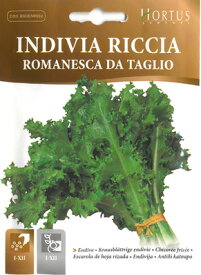 【イタリアの野菜の種】Hortus社　エンダイブ・ロマネスカ【固定種】BSOENS002　種まきから約60日で収穫期を迎えます。