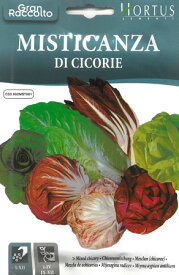 【お得なおイタリアの野菜の種】　チコリーミックス4046　メーカー都合によりパッケージは入荷時により変わります。